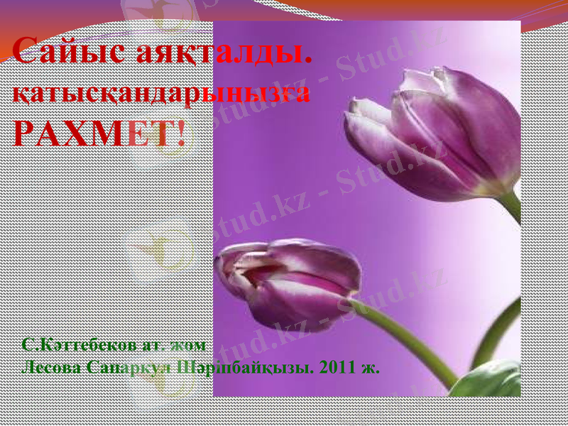 Slide 42