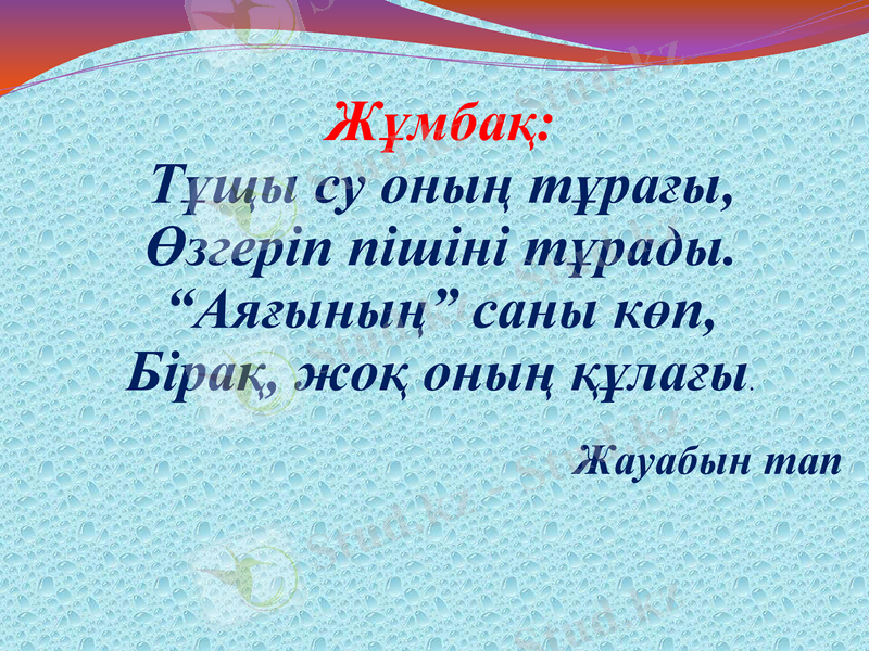 Slide 5