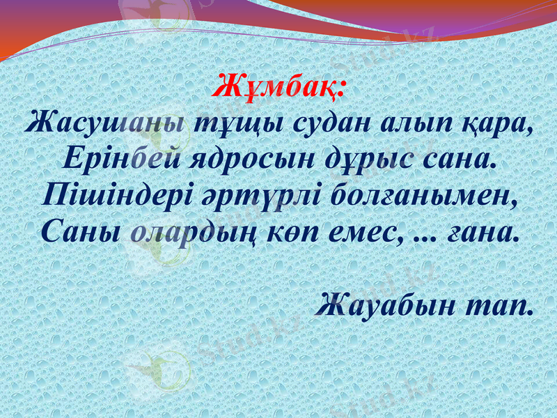 Slide 7
