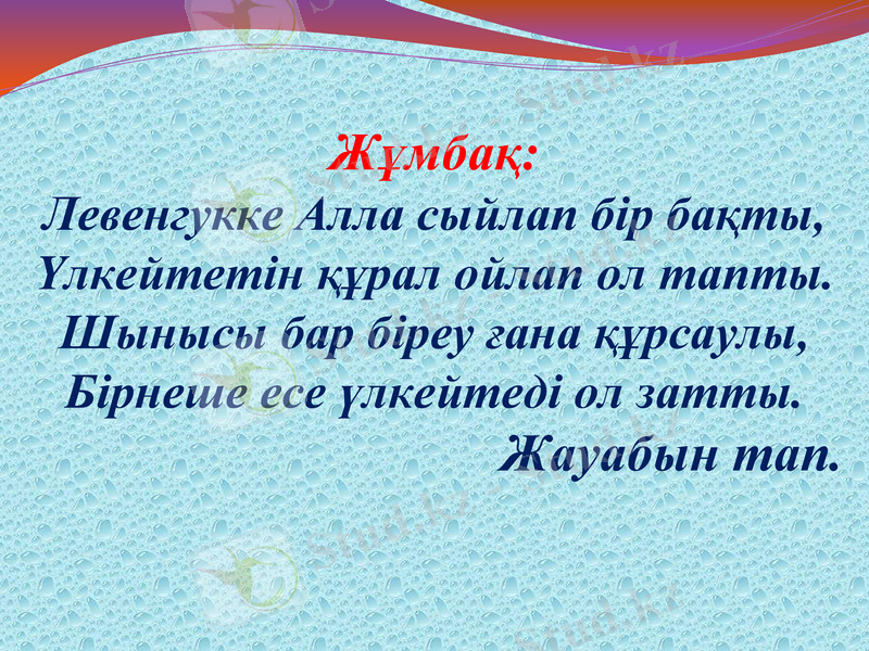 Slide 8