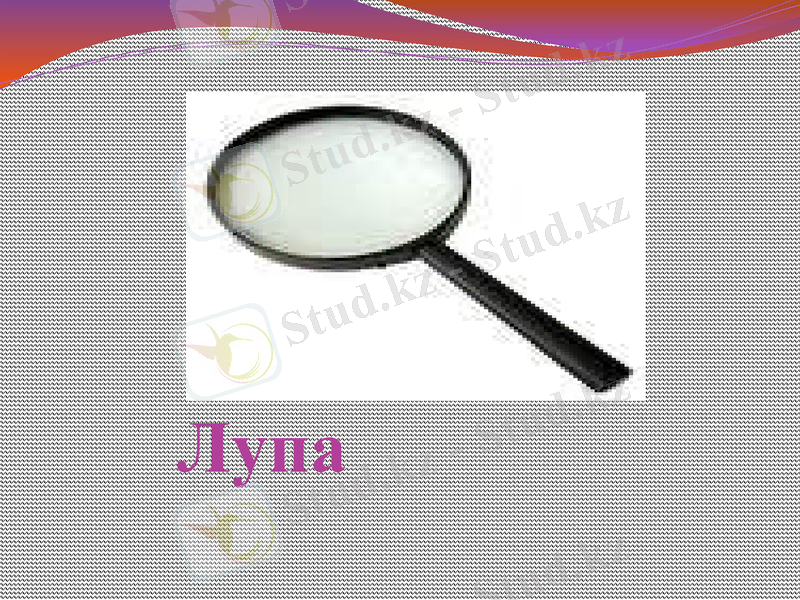 Slide 9