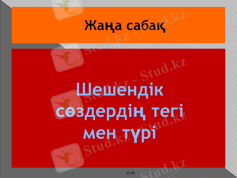 Slide 13