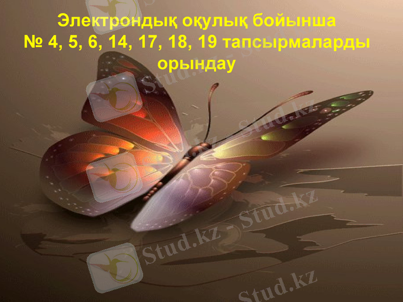 Slide 10