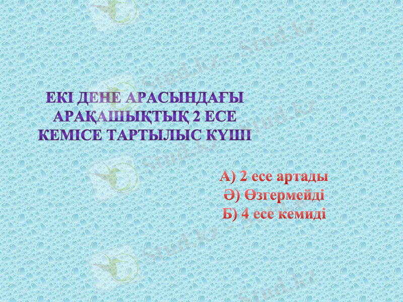 Slide 11