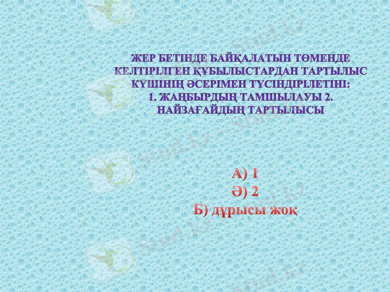 Slide 13