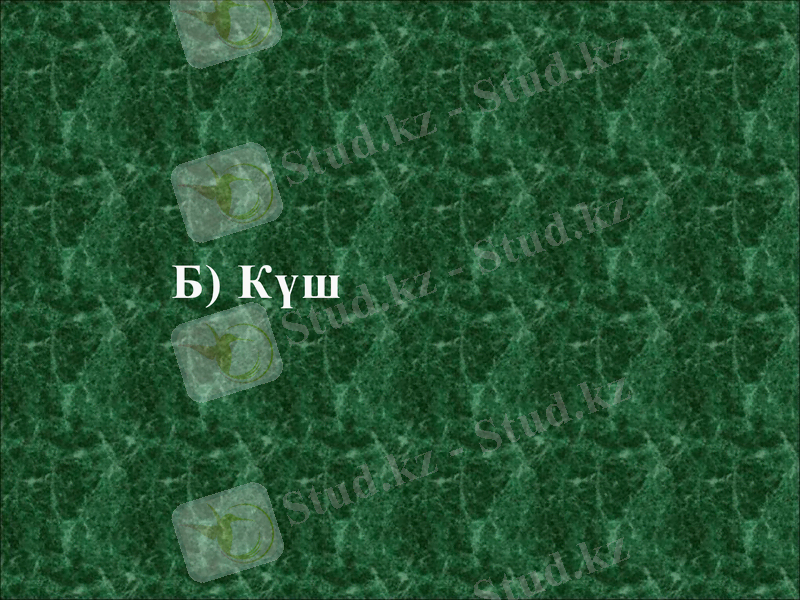 Slide 16