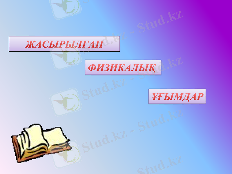 Slide 19
