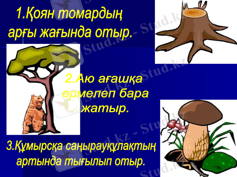 Slide 11