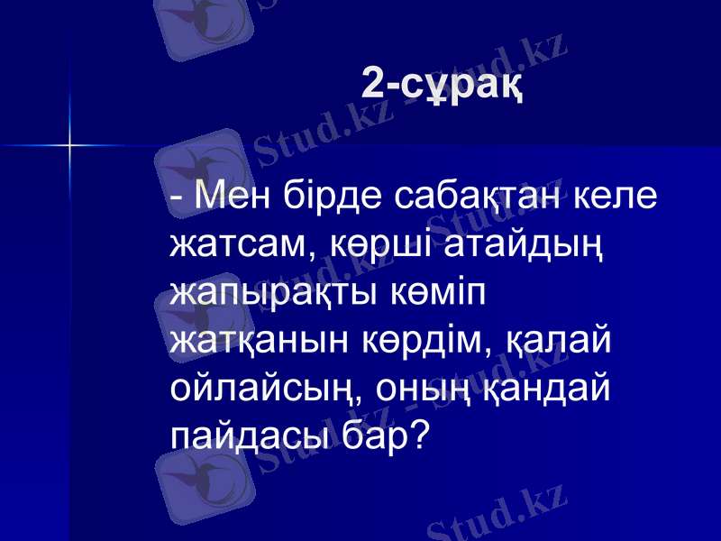 Slide 6