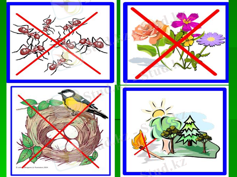 Slide 9