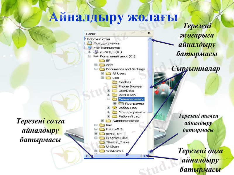 Slide 11