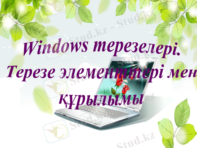 Slide 4