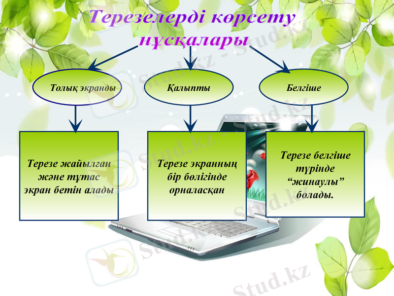 Slide 8