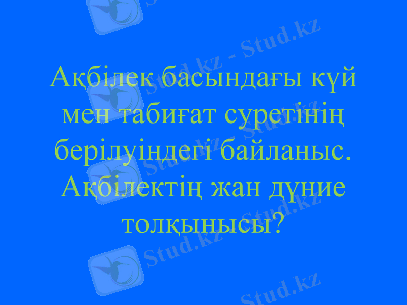 Slide 13