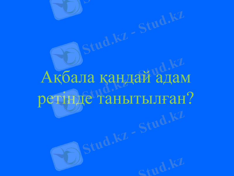 Slide 19