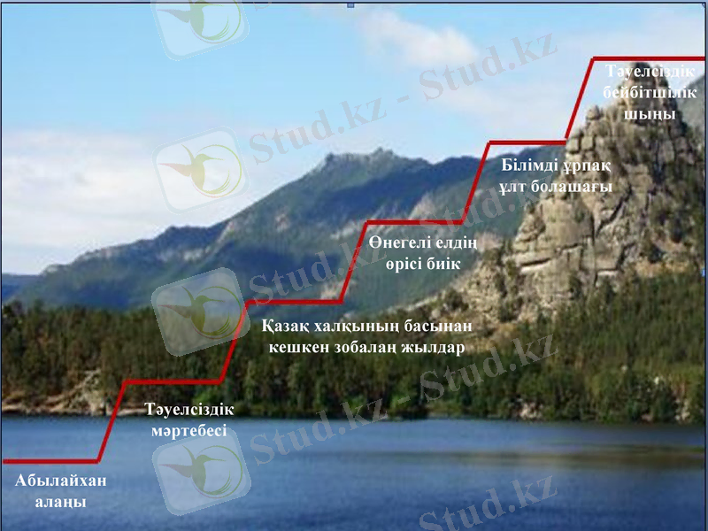 Slide 12