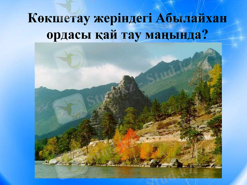 Slide 8