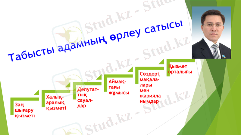 Slide 7