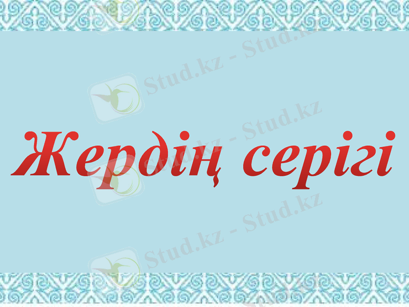 Slide 11