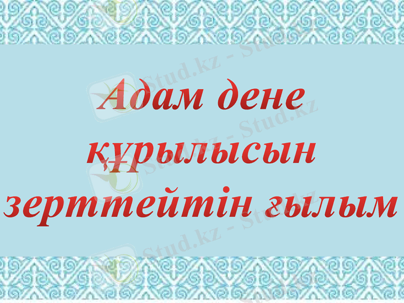 Slide 33