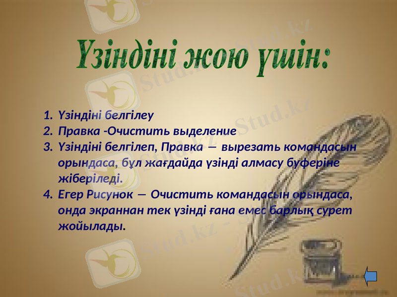 Slide 11