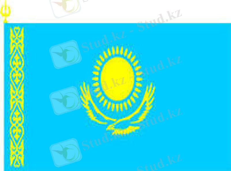 Slide 17