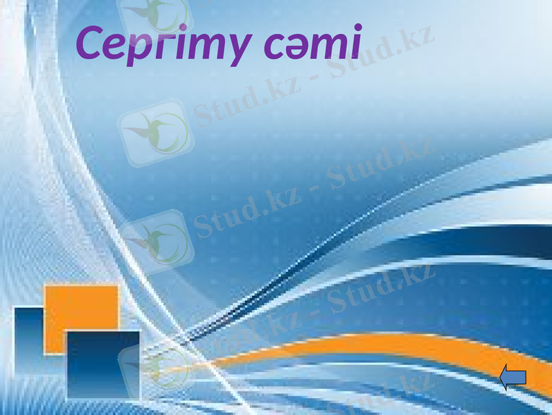 Slide 23
