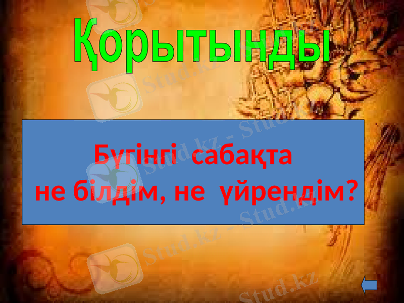 Slide 24