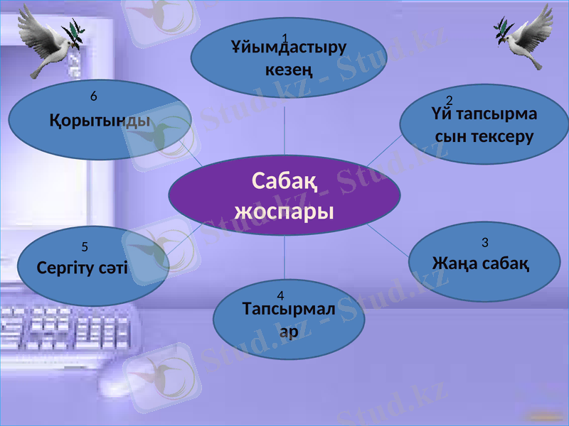Slide 3