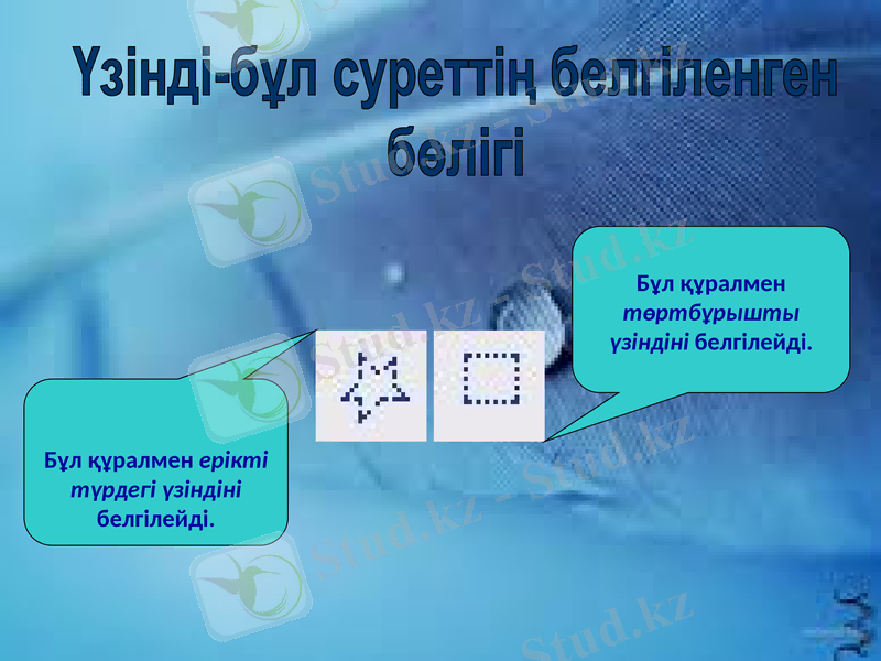 Slide 6