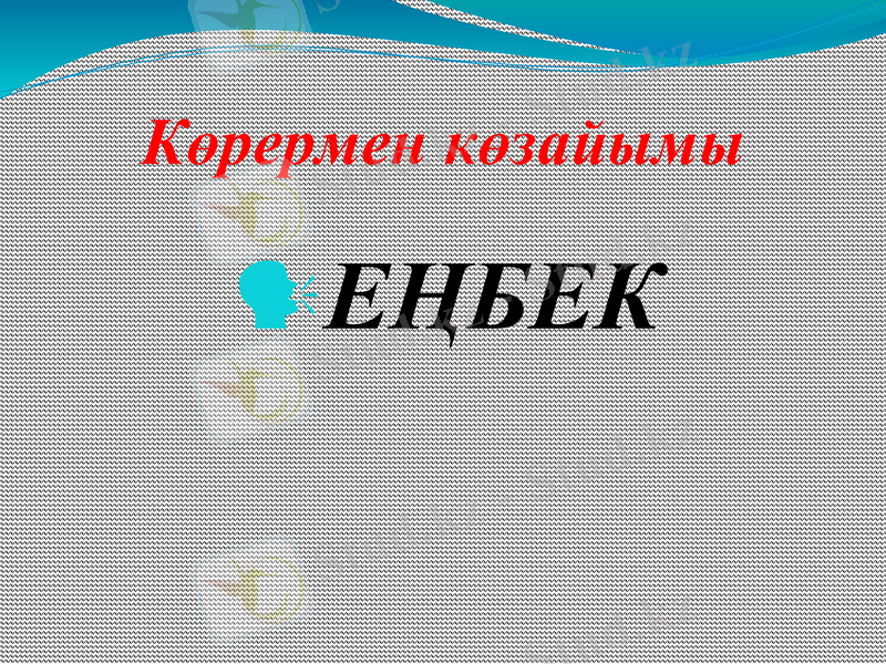 Slide 16
