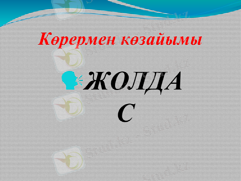 Slide 20