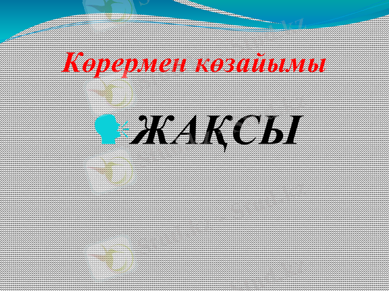 Slide 21