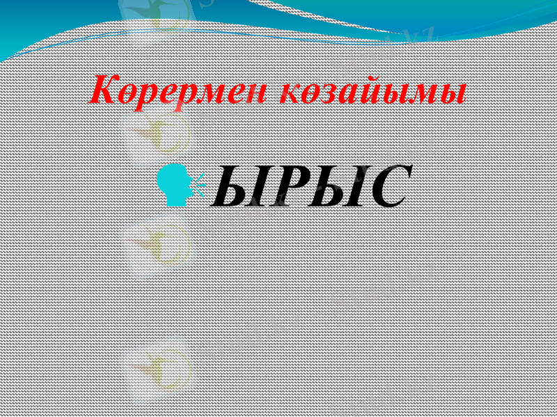 Slide 23
