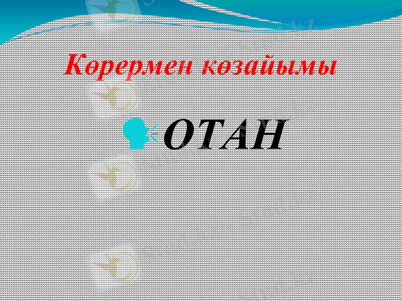 Slide 24