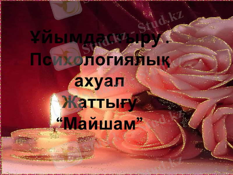 Slide 1