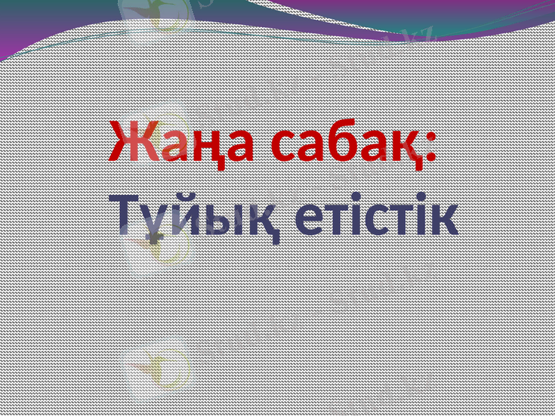 Slide 7