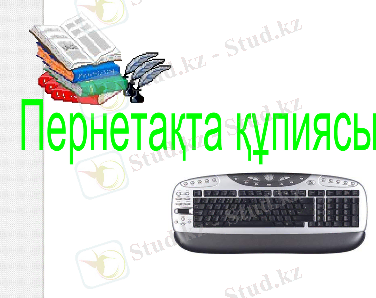 Slide 13