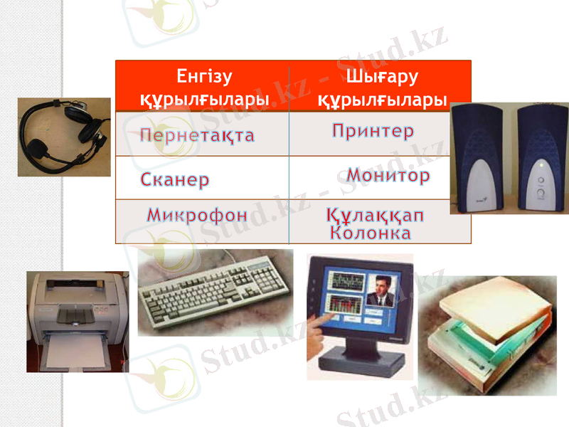 Slide 7