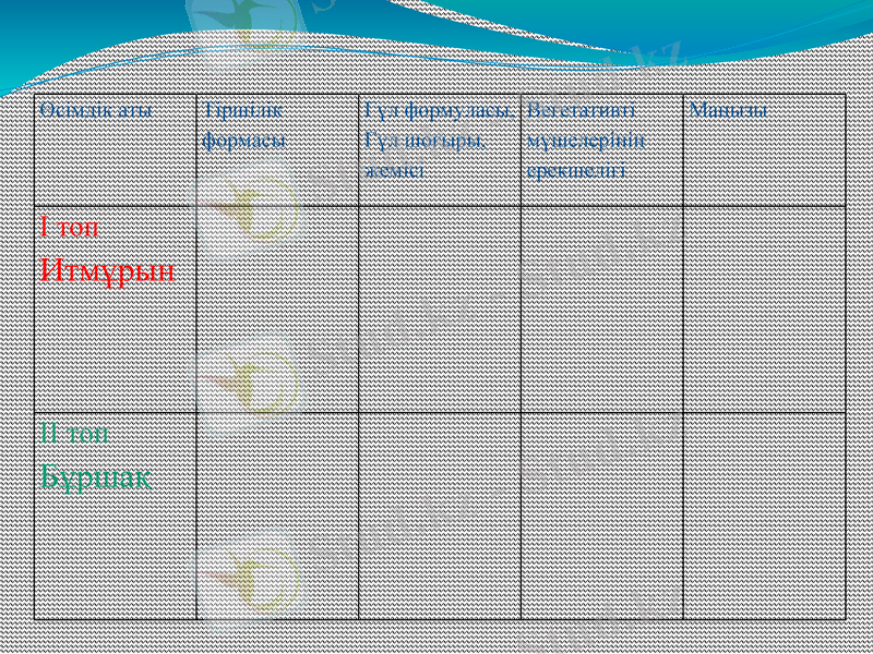 Slide 13
