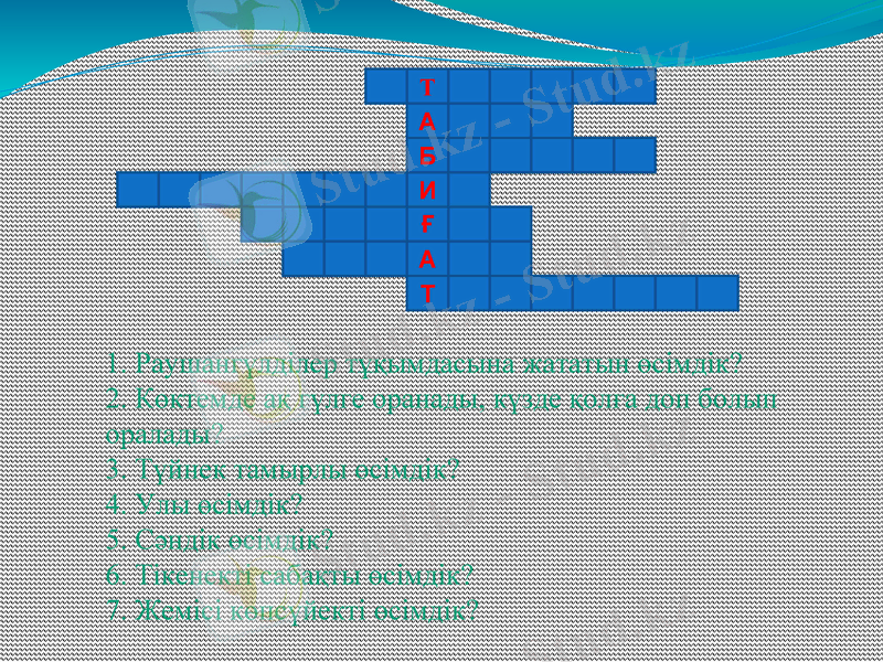 Slide 15