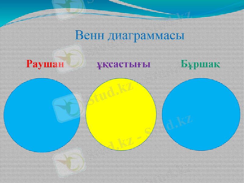 Slide 16