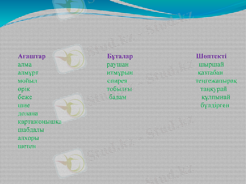 Slide 8