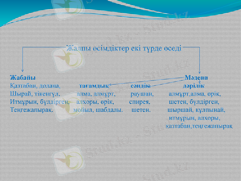 Slide 9