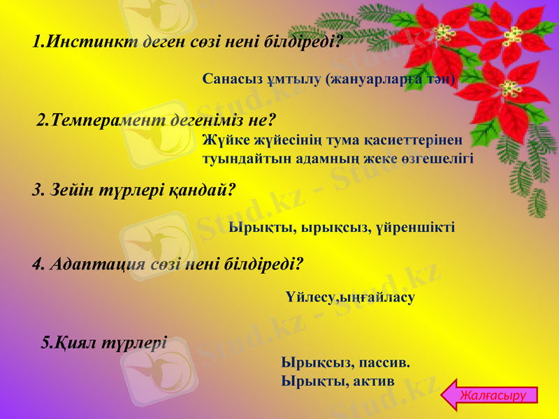 Slide 32