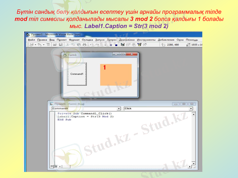 Slide 13