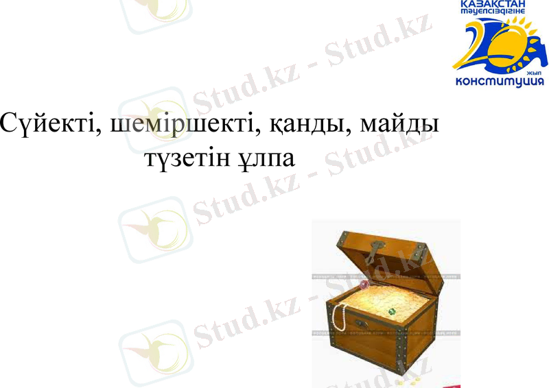 Slide 10