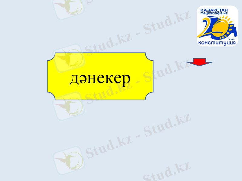Slide 11