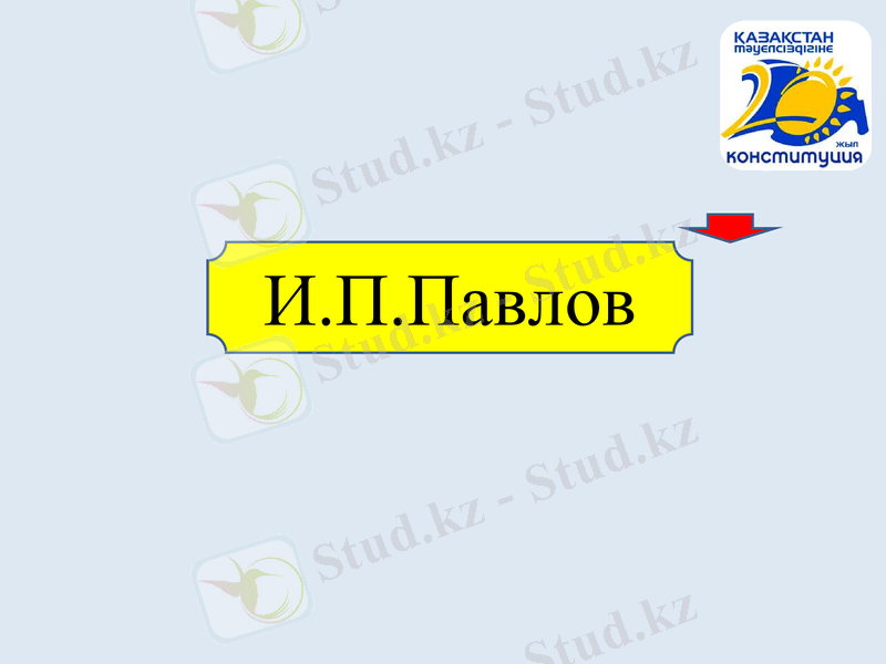Slide 13