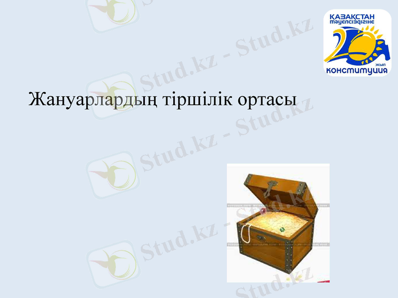 Slide 6